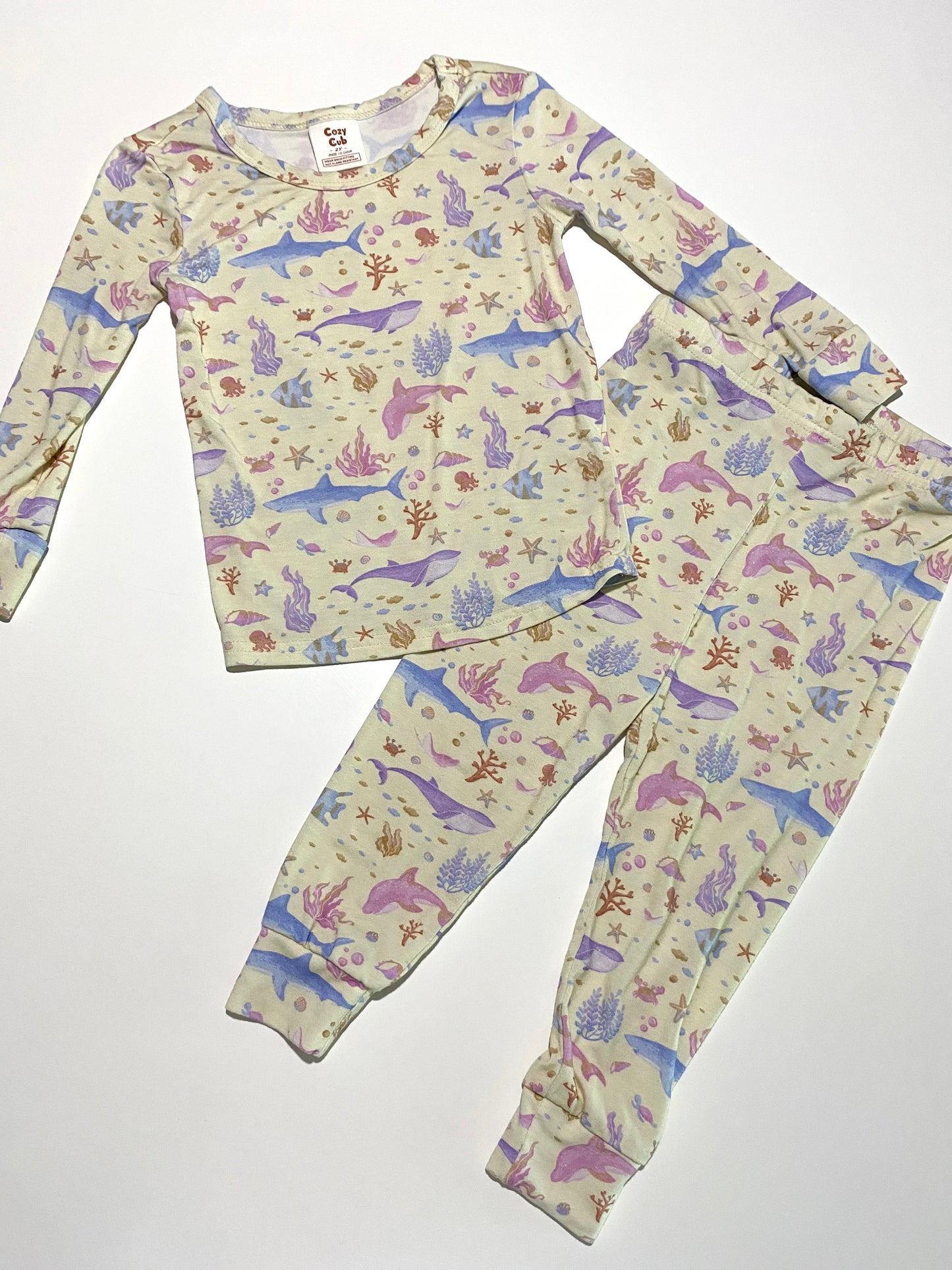 2 ans | Pyjama deux pièces Cozy Cub