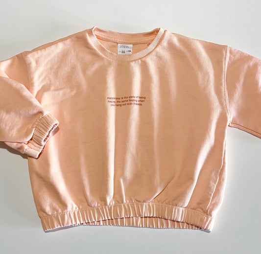 3-4 ans | Chandail Zara (Imparfait)